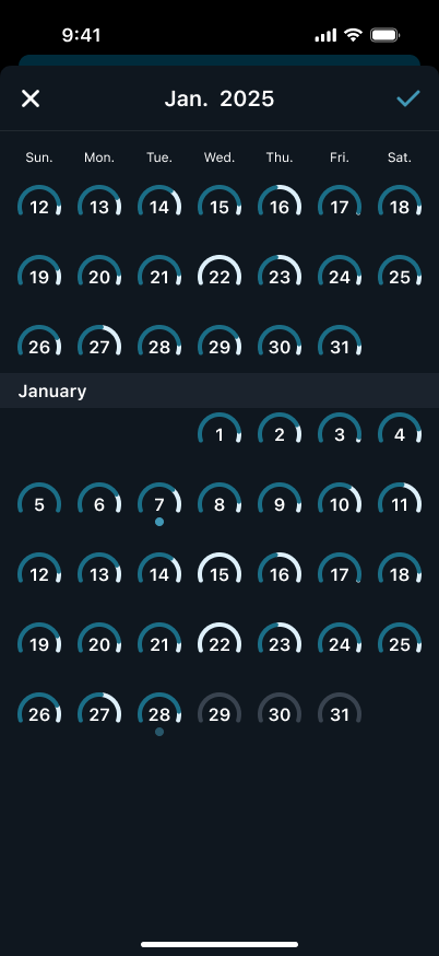 Report date picker